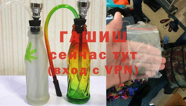 крисы Алзамай